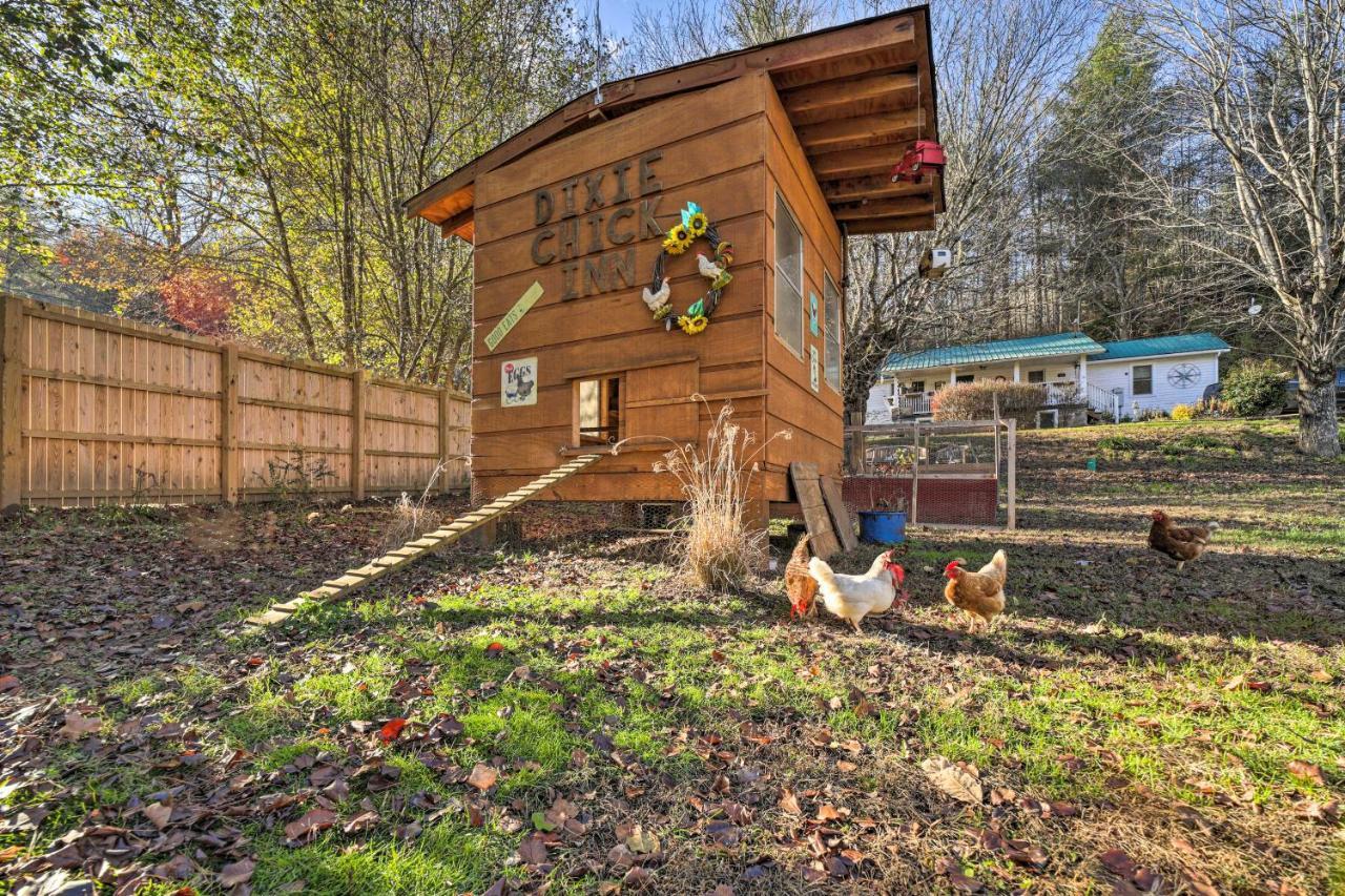 Smoky Mountain Vacation Rental With Hot Tub And Kayaks Whittier Exterior photo